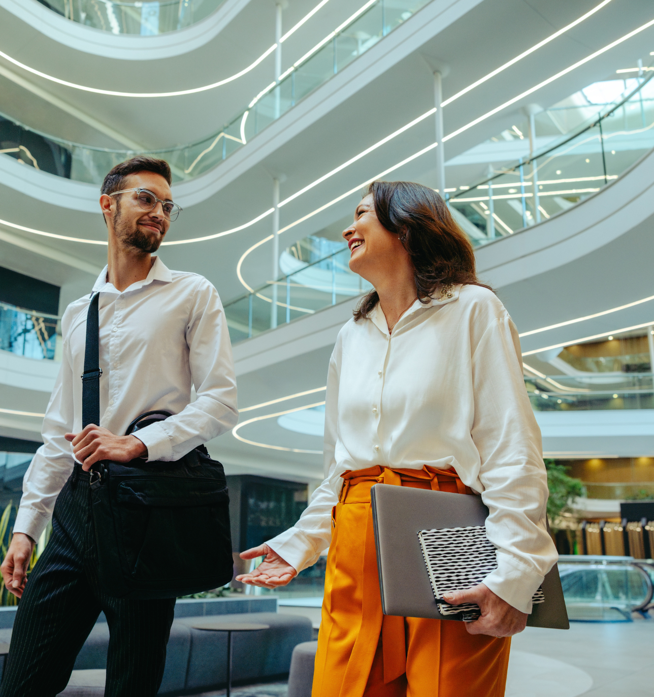 Professional services consultant with male colleague in workplace